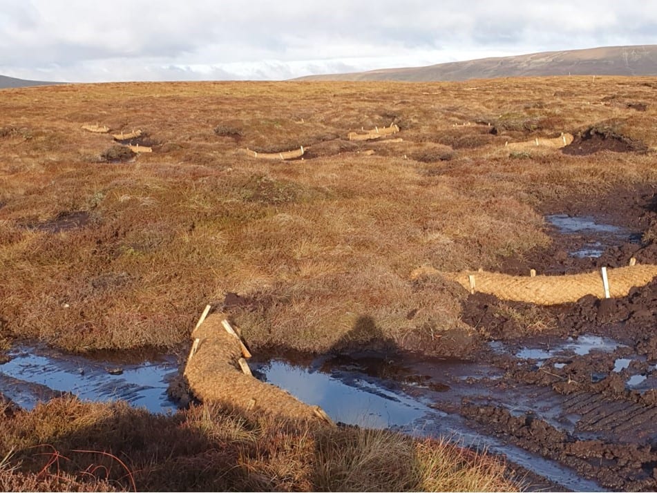 Peat-restoration