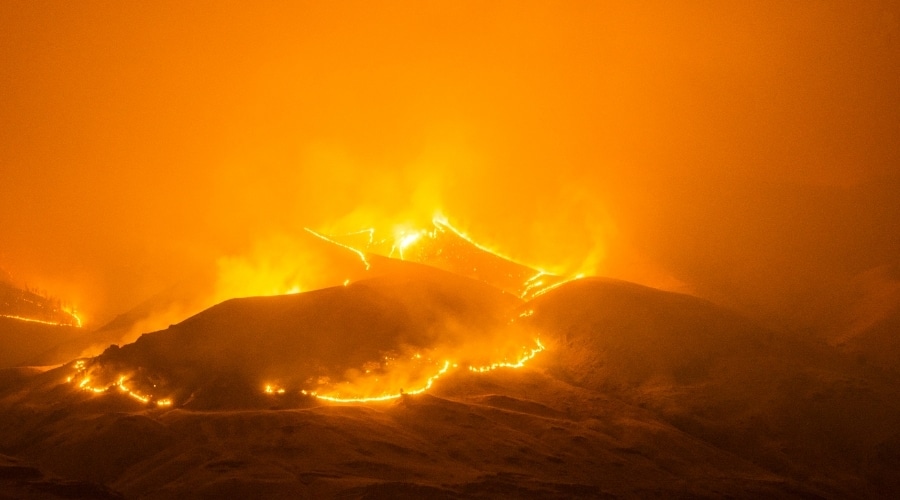 Northern-Ireland-Wildfire