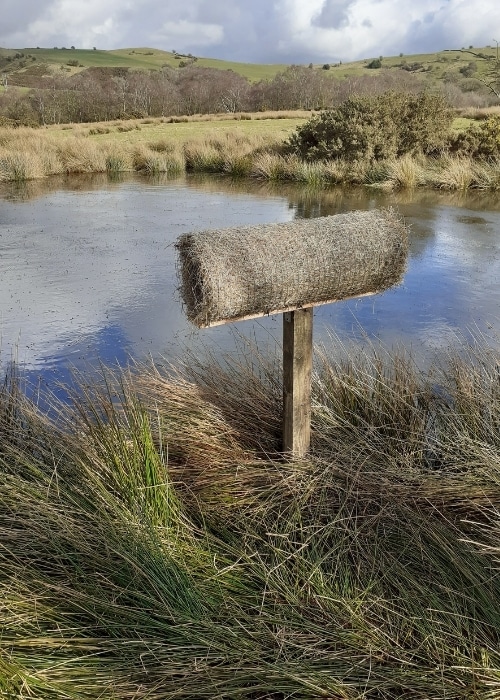 Mallard-nesting-tubes