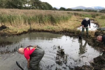 wildfowling-conservation