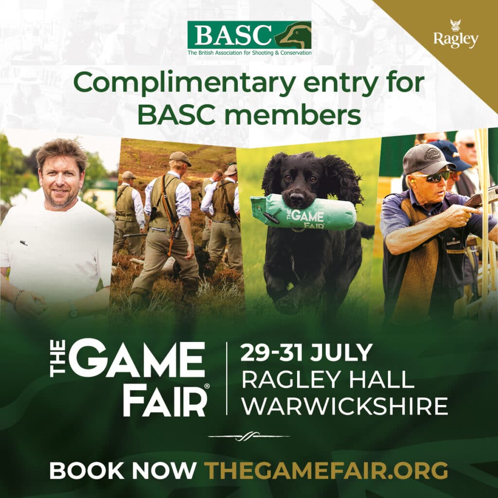 The-Game-Fair