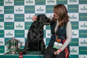 crufts