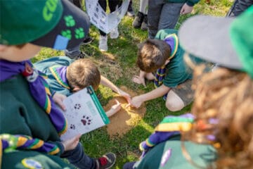 cubs-and-scouts