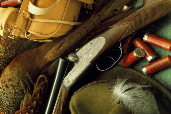 Untitled (600 × 400 px) (25)