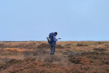 grouse-moor