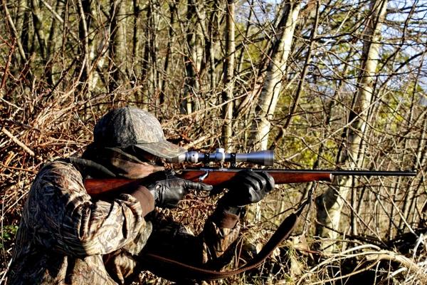 rimfire rifle