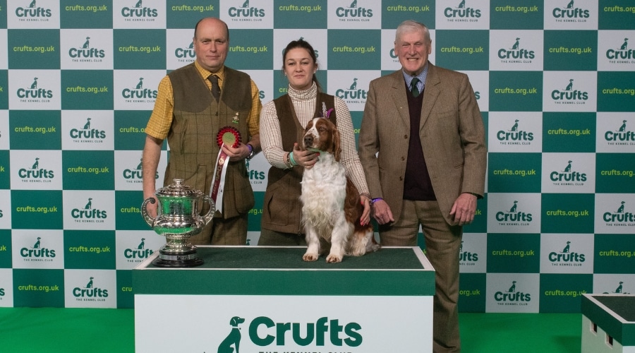 crufts