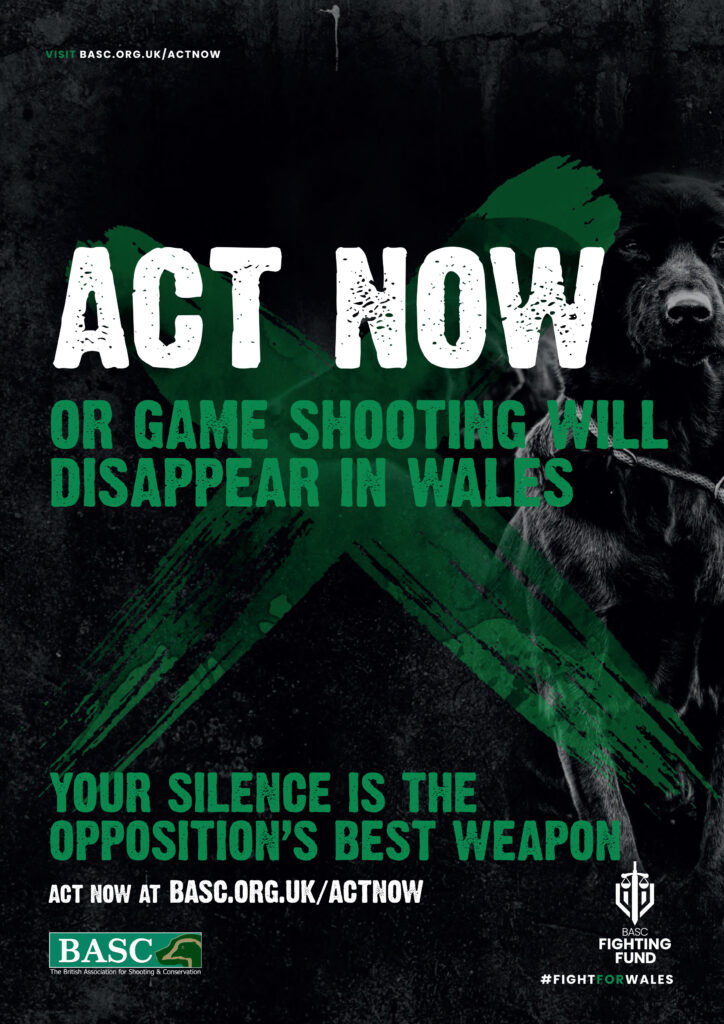 Act now A4 poster 2