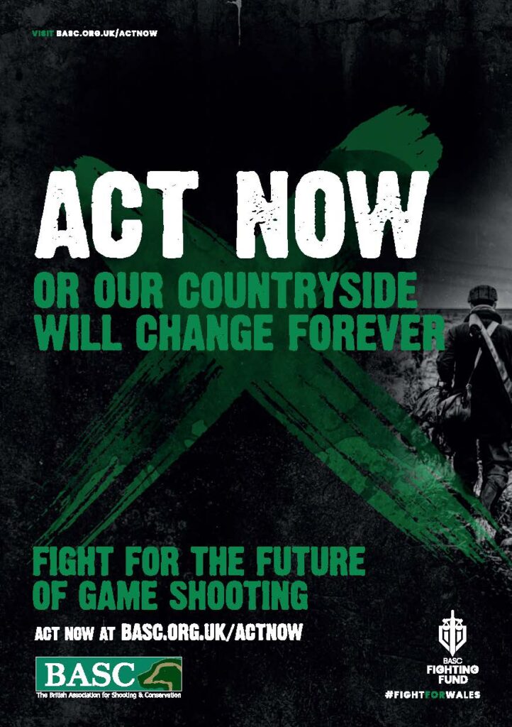 BASC Act Now A5 Leaflet