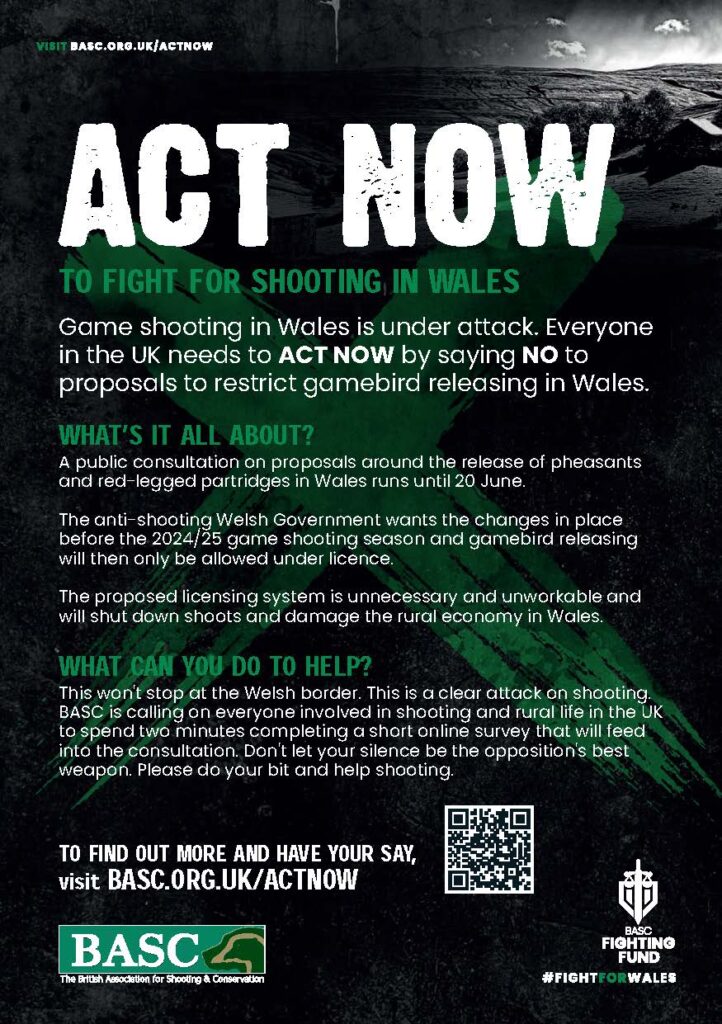 BASC Act Now A5 Leaflet 2