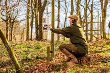 gamebird release