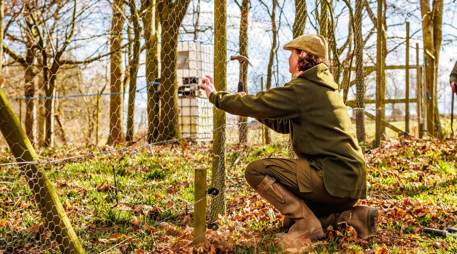 gamebird release