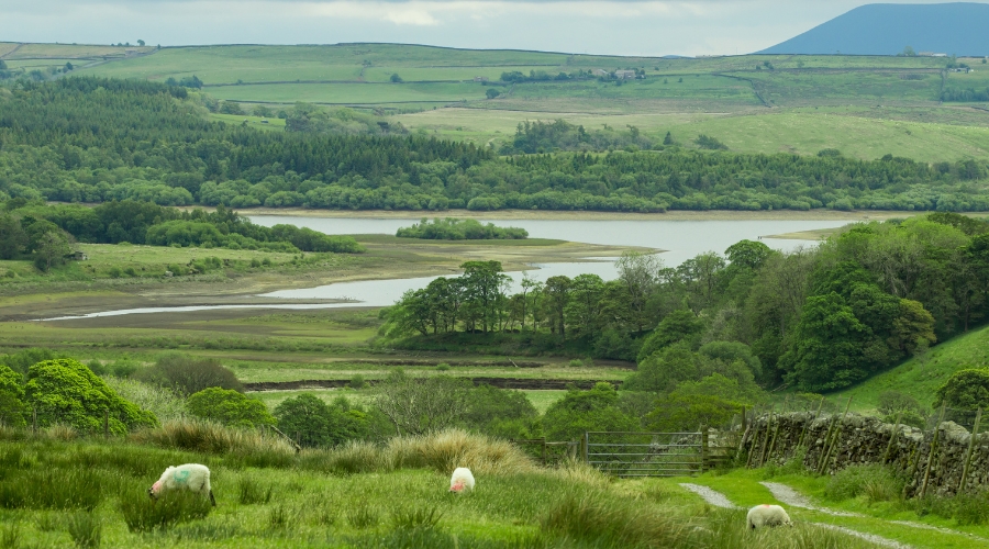 Stocks reservoir