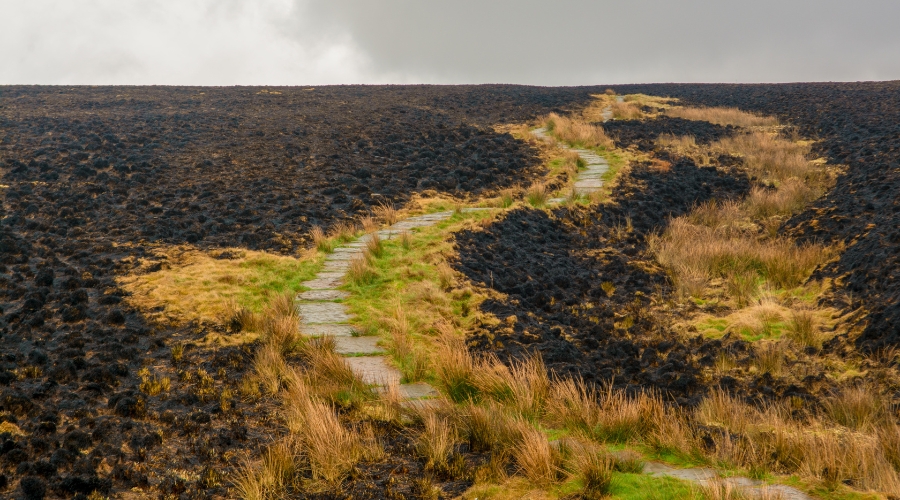 Marsden Moor