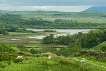 Stocks reservoir