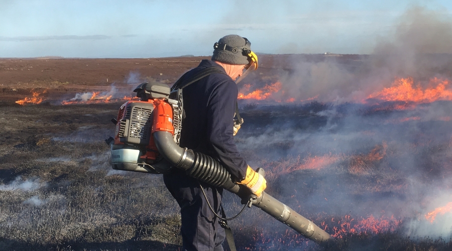 Controlled burning