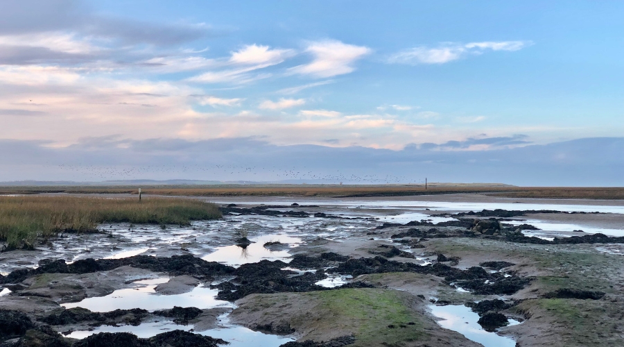 lindisfarne